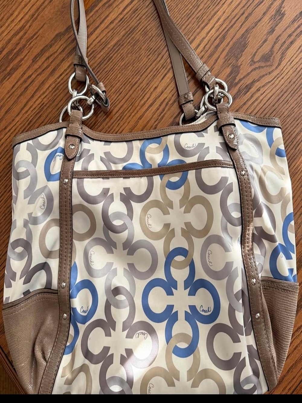 Coach Alexandra With Chain Link Straps